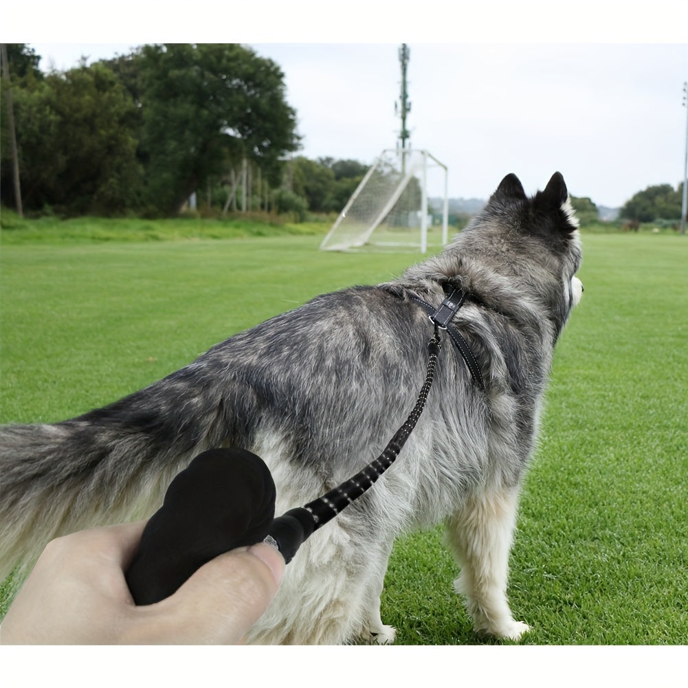 Reflective Pet Dog Leash for Dogs of All Sizes