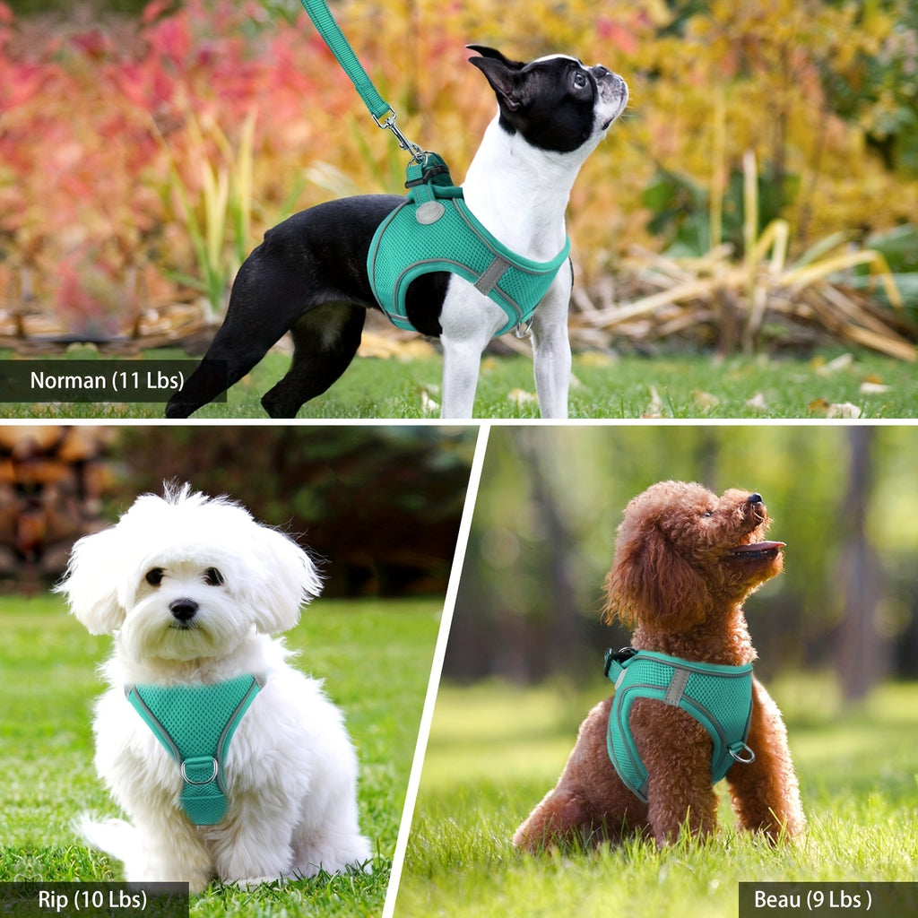 Reflective Step-In Dog Harness & Leash Set for Small & Medium Dogs