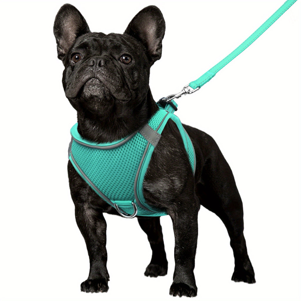 Reflective Step-In Dog Harness & Leash Set for Small & Medium Dogs