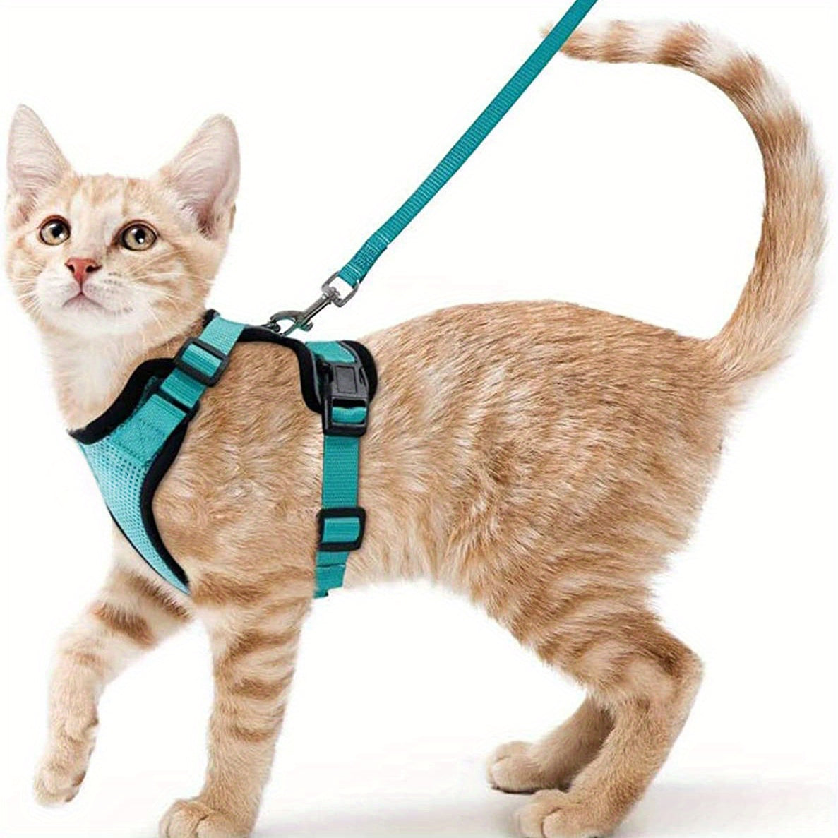 Escape-Proof Adjustable Cat Harness & Leash