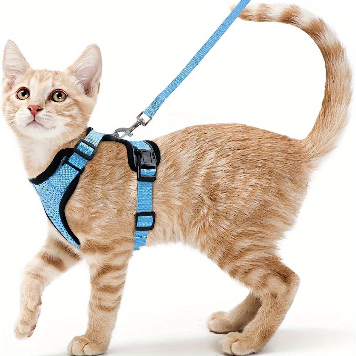 Escape-Proof Adjustable Cat Harness & Leash