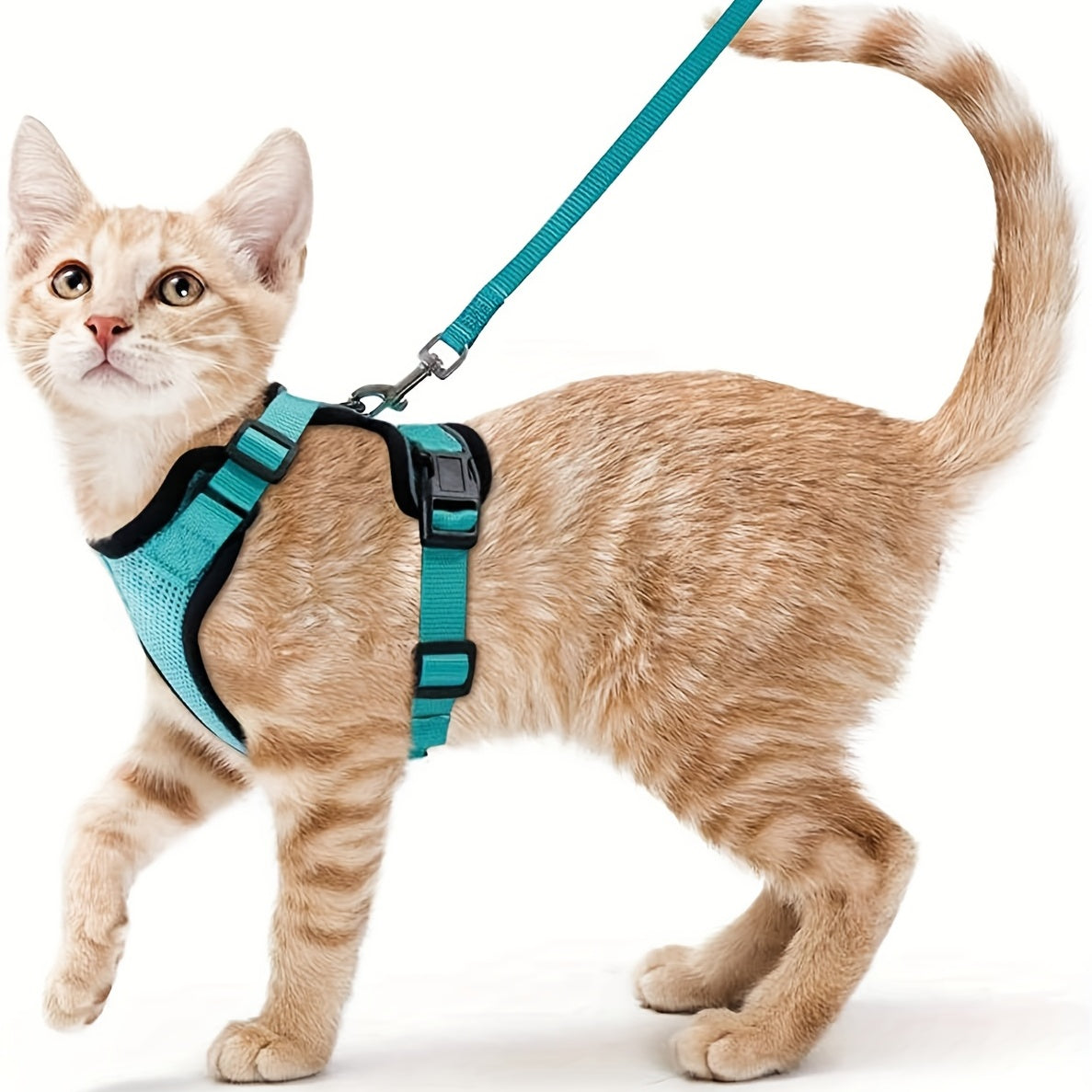 Escape-Proof Adjustable Cat Harness & Leash