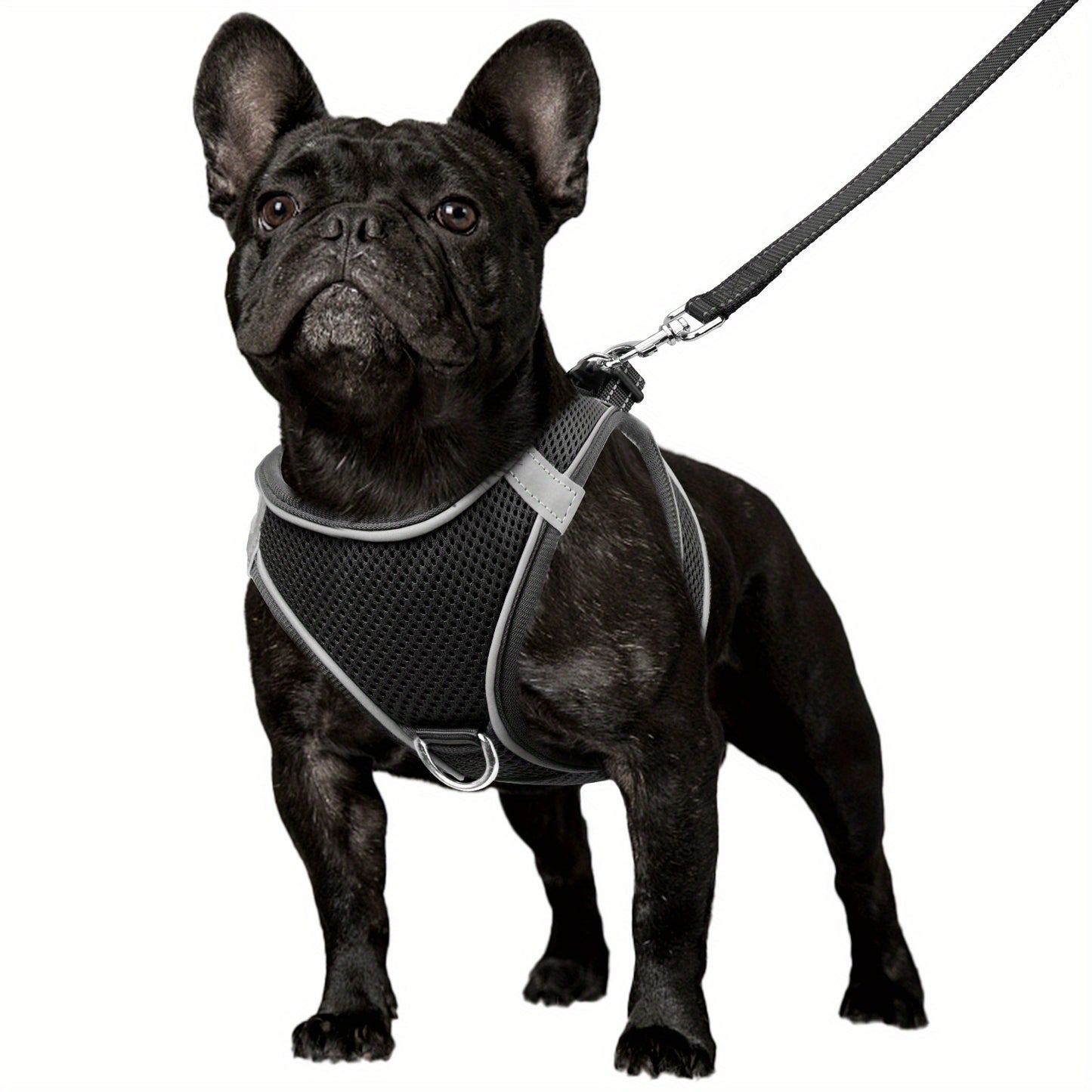 Reflective Step-In Dog Harness & Leash Set for Small & Medium Dogs