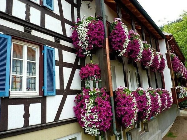 🔥 - 🌺🌷Vivid Artificial Hanging Orchid Bunch