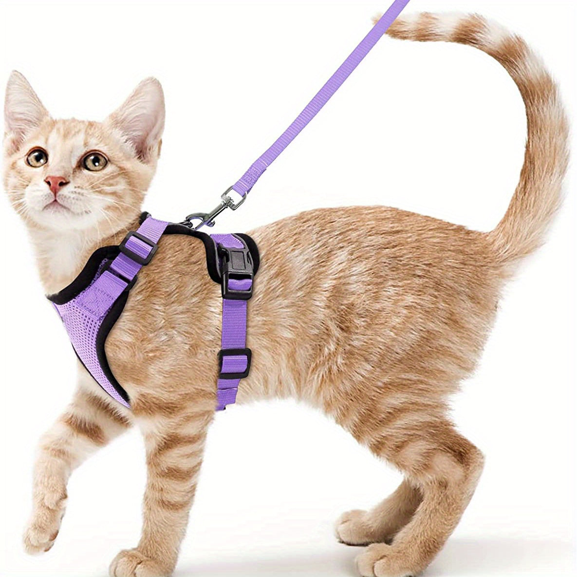 Escape-Proof Adjustable Cat Harness & Leash