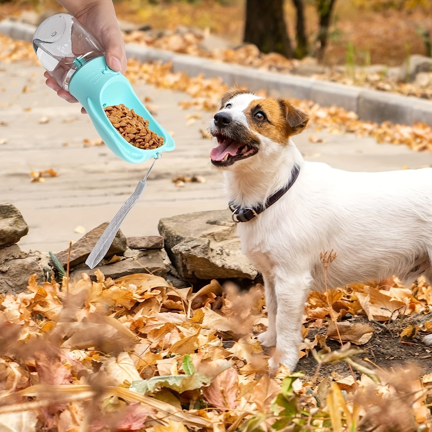 Leak-Proof Dog Water Bottle & Food Container