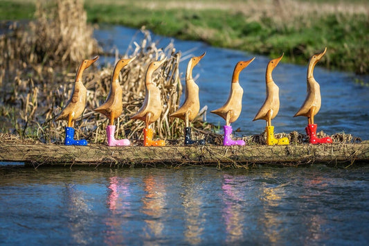 🌈Hand Carved Wellies Duck Family💞