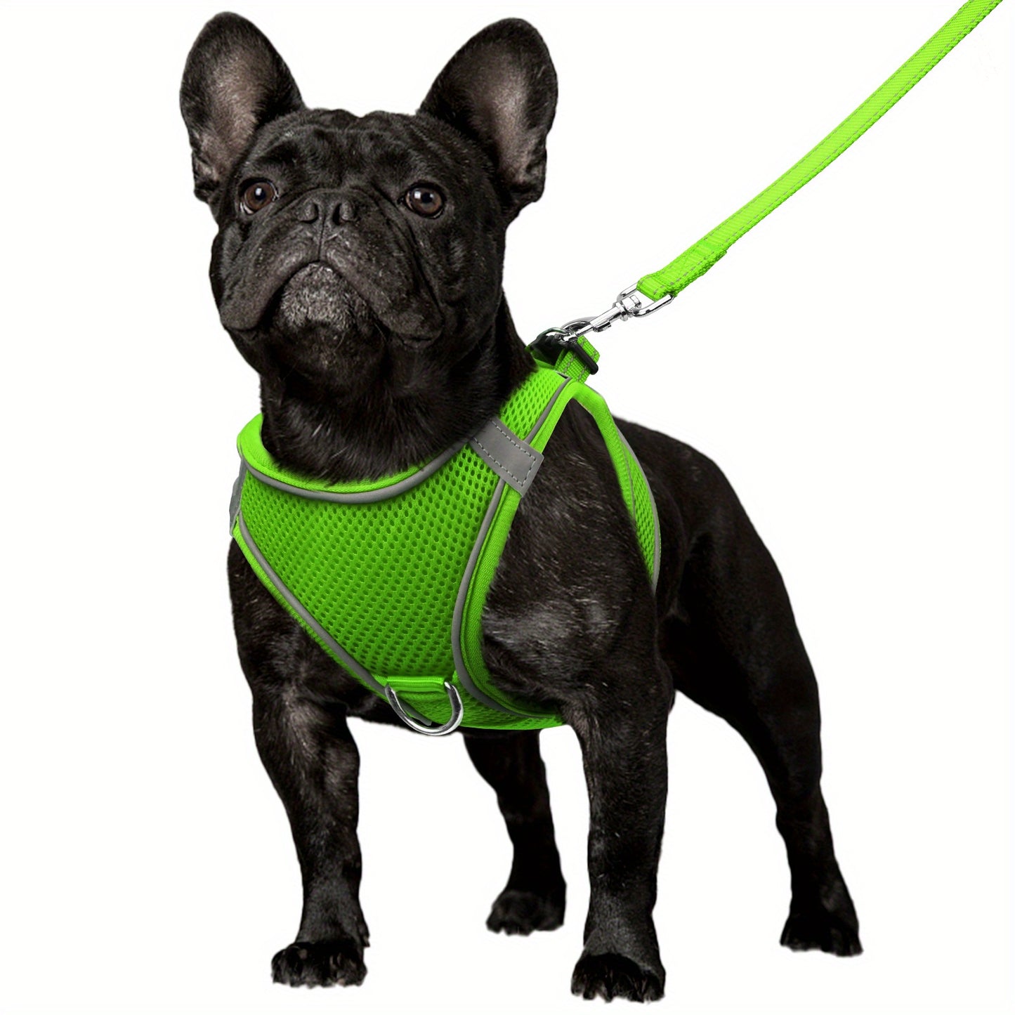 Reflective Step-In Dog Harness & Leash Set for Small & Medium Dogs