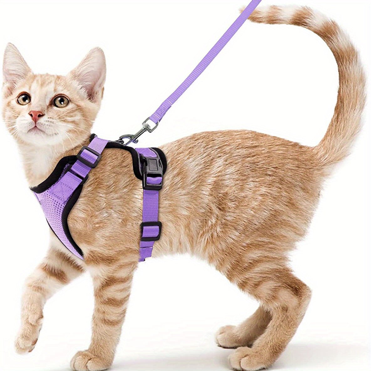 Escape-Proof Adjustable Cat Harness & Leash