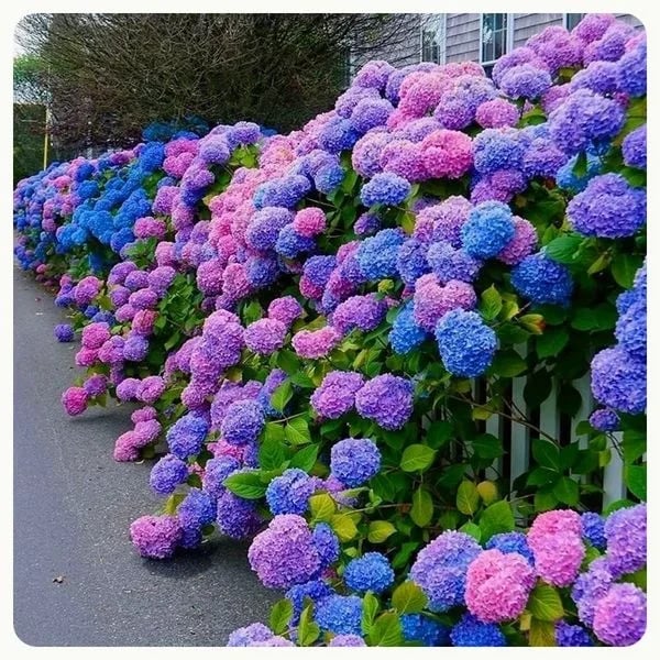 Last Day 70% OFF-Outdoor Artificial Hydrangea Flowers💐