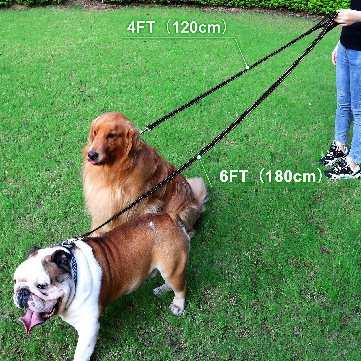 Reflective Neoprene Padded Dog Leash