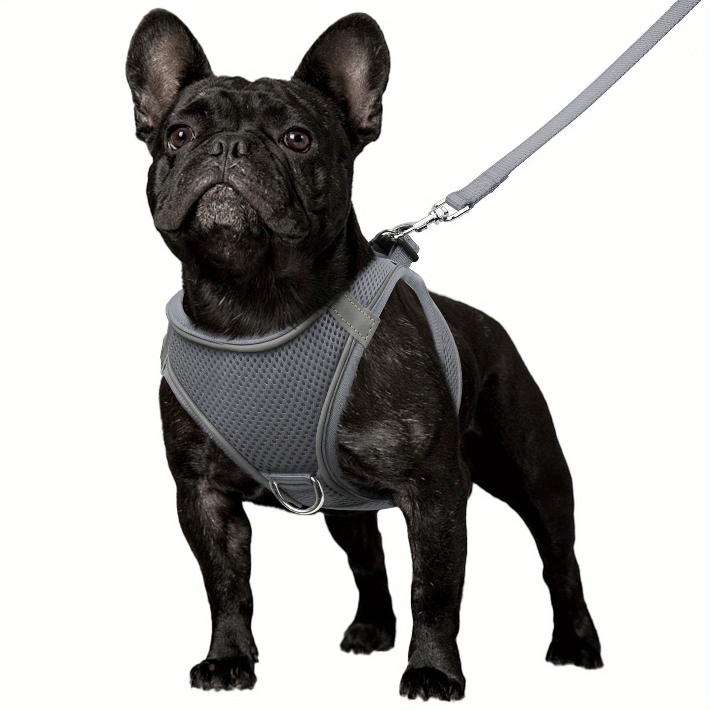 Reflective Step-In Dog Harness & Leash Set for Small & Medium Dogs